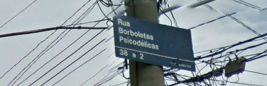 rua_borboletas_psicodelicas